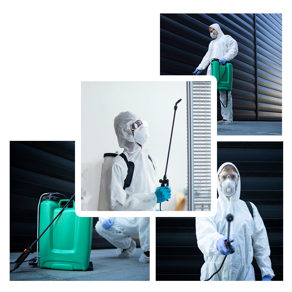 What Are the Most Effective Treatments for Pests in Dubai?