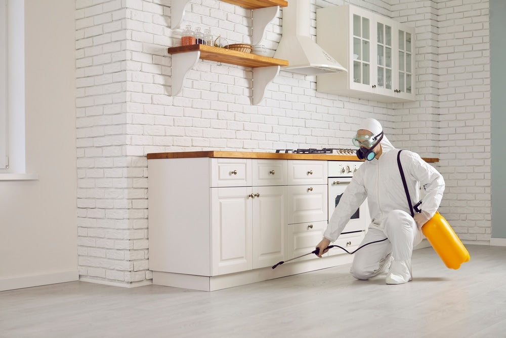 Pest-Proof Your Home: The Ultimate Step-by-Step Guide