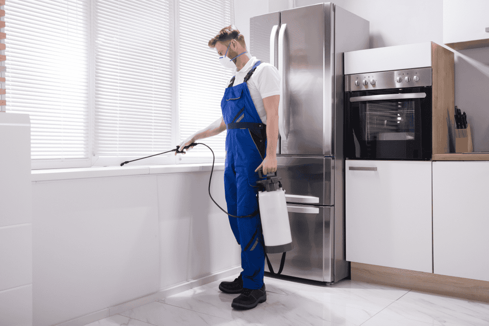 How to Know If Your Home Needs Pest Control Right Now